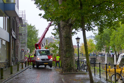 846990 Afbeelding van het opruimen van de omgevallen bomen bij de gedeeltelijk ingestorte kademuur aan de Bemuurde ...